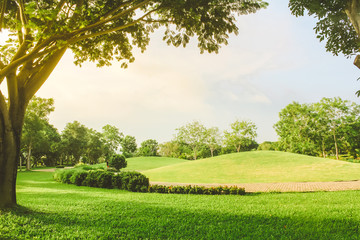 Beautiful pure sunrise morning in public park with green grass, tree and flower. Half moon park in Ho Chi Minh city, Vietnam.