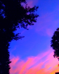Gorgeous Sunset Sky Aurora On The Coast Of Louisiana