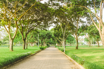Pathway in beautiful pure sunrise morning at public park with green grass, tree and flower. Half moon park in Ho Chi Minh city, Vietnam.