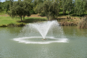 Fountain in a pond. Parque de Cabecera, Valencia, Spain