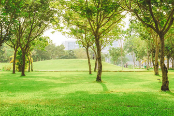 Plakat Beautiful pure sunrise morning in public park with green grass, tree and flower. Half moon park in Ho Chi Minh city, Vietnam.