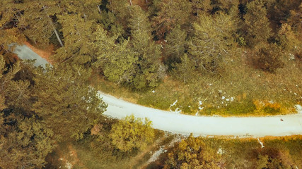 Empty road on the edge of a forest in autumn
