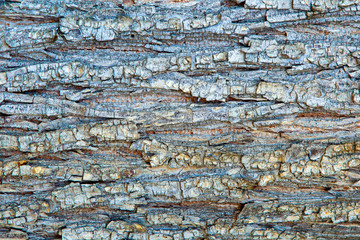 Wooden background abstract texture