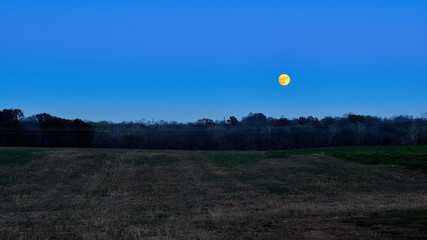 Super Moon Rising Over Field