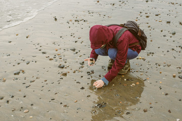 młoda kobieta zbiera muszelki na plaży podczas zimowego dnia