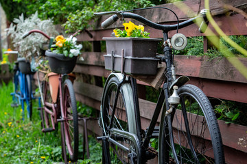 Fototapeta na wymiar bicycle in the garden with flowers