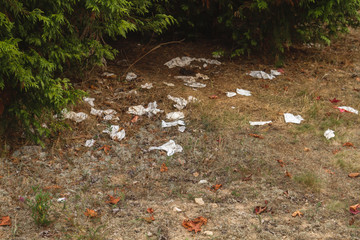 Paper tissues and human excrements in a park