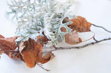 Beautiful autumn birch branches reach for each other. Flown orange brown leaves.