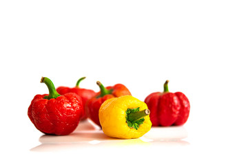 Old multicolored peppers with wrinkles lie on a white background