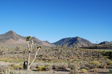 Desert mountains