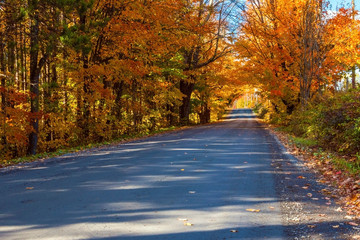 Obraz premium back road in autumn