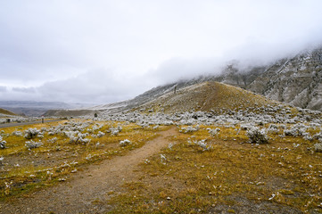Hill in Fog and Snow 2