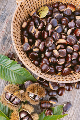 Edible chestnuts on the wooden table