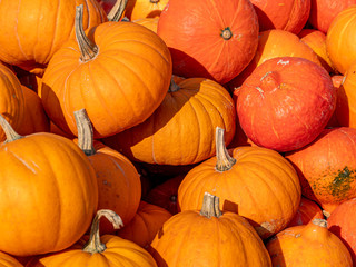 Orange Hokkaidokürbis Textur Hintergrund	