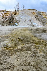 Mammoth Springs Terrace 3
