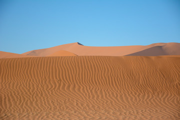 Fototapeta na wymiar sand dunes in the namib desert