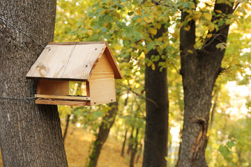 The birdhouse on the tree in autumn park