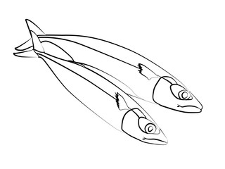 fish contour vector illustration isolated