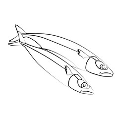 fish contour vector illustration isolated