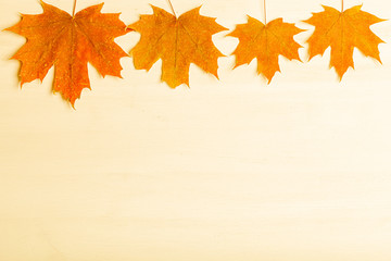 Naklejka na ściany i meble Composition of bright autumn leaves on a light background. Toned