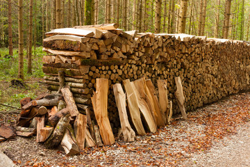 viel Brennholz, angerichtet im Wald