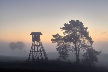 Deer hunting tower on a field in Autumn at dawn