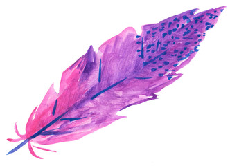 light colored pen. lilac and pink bird feather on a white background. watercolor illustration for prints, design, cards
