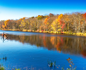 autumn landscape with lake and trees