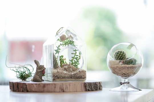 Terrarium with dessert plants. Glass terrarium by the window, inside contain succulence plants such as cactus with soft focus on the cute rabbit. window light and copy space for your text.