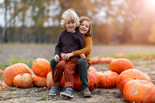 Two little boys having fun in a pumpkin patch