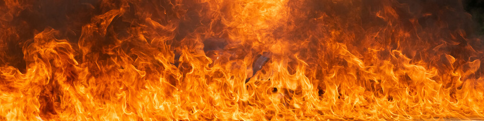 Blaze fire flame panorama for nature background, Igniting fire flame with fuel gasoline, Danger...