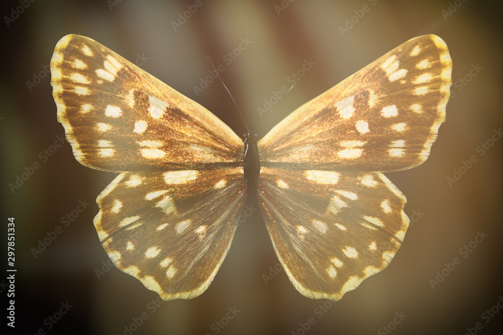 Poster colored butterfly on a black background with a beautiful glow.