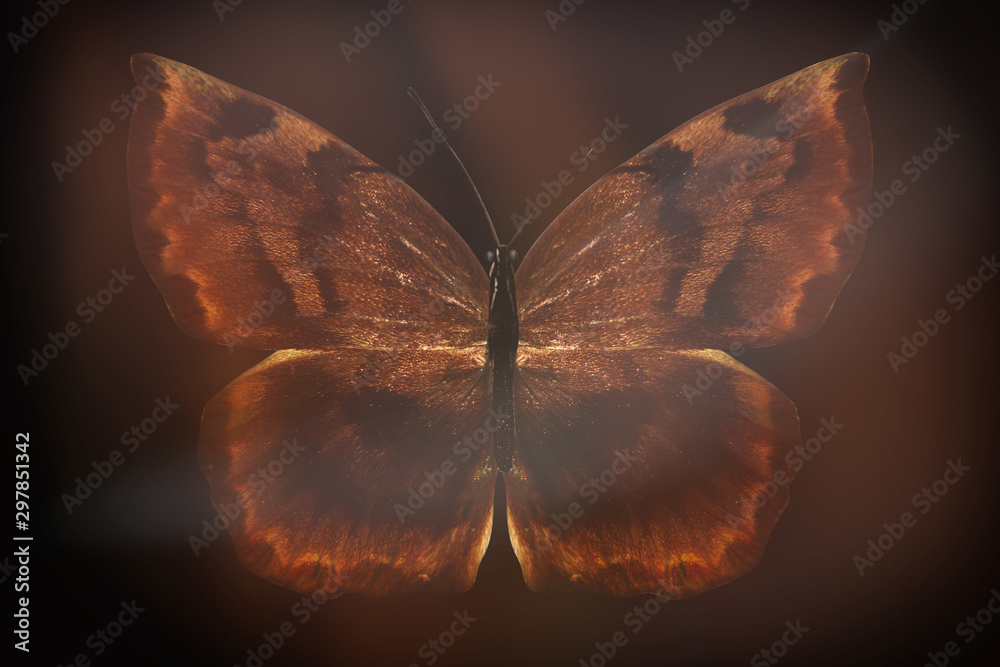 Poster colored butterfly on a black background with a beautiful glow.