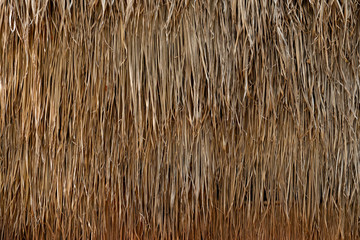 Straw that is a sheet stacked into a wall and roof for background and textured.