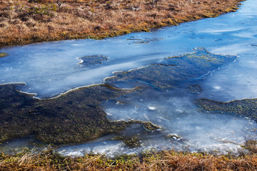 grass and ice texture