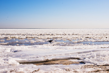 beach in winter