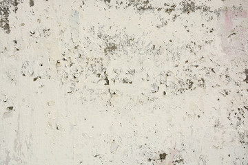 Beautiful vintage background. Abstract grunge decorative stucco wall texture. Wide rough background with copy space for text.