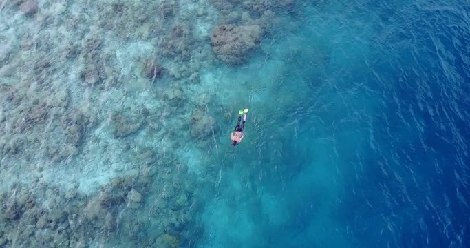 Drone view ascending of a girl swimming over coral reef, watching beautiful seabed near Tioman island, Malaysia