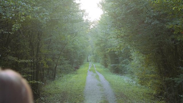 Revealing shot of two girlfriends walking in nature holding hands