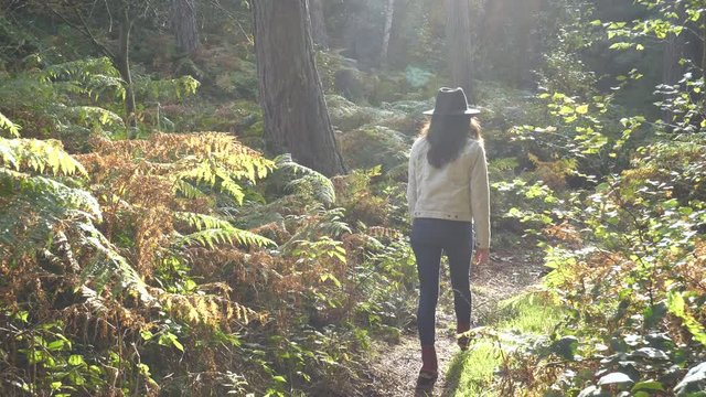 Tilt Down Woman Walking Alone In Enchanting Forest Scene