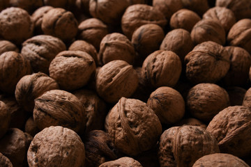 Background of fresh walnuts a lot of relief, closed, in a shell (background, pattern) from a close distance with full frame, copy space and place for text
