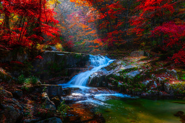 Fototapety  Jesienne liście i wodospady w Parku Narodowym Baekryeong Korea Południowa
