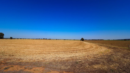 Obraz premium Australian Country Side