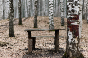 bench in the park