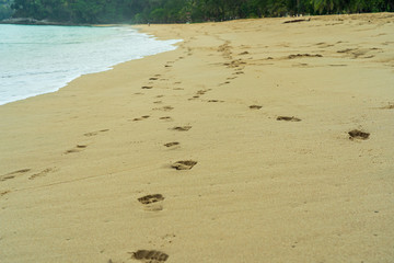 Footprints of people walking on the sand beach.