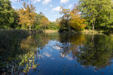 Fototapeta na wymiar Autumn by the lake at Swinton