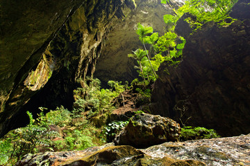 River in Mulu National Park, Borneo, Malaysia