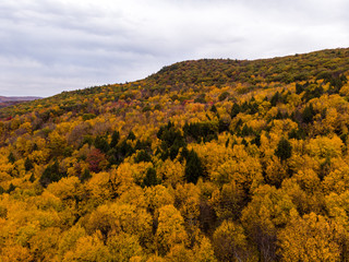 Drone photo of peak foliage upstate New York during the autumn fall season.
