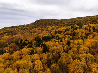 Drone photo of peak foliage upstate New York during the autumn fall season.