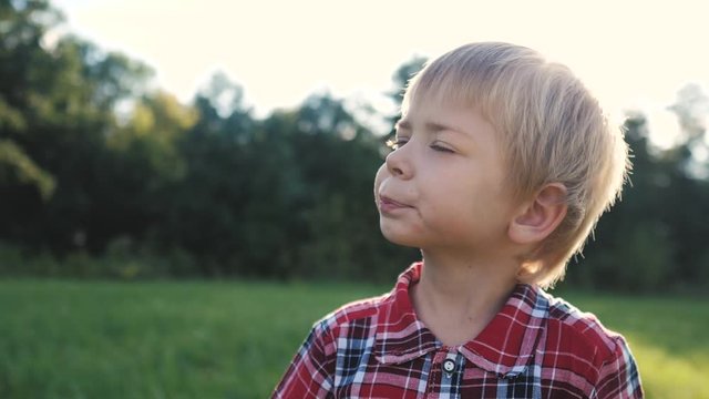 little boy portrait concept happy family. boy blond son looking up portrait slow motion video in nature in lifestyle a plaid shirt sunlight glare happy childhood concept
